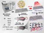 Multifunctional GO hybrid hydrogel scaffolds for wound healing