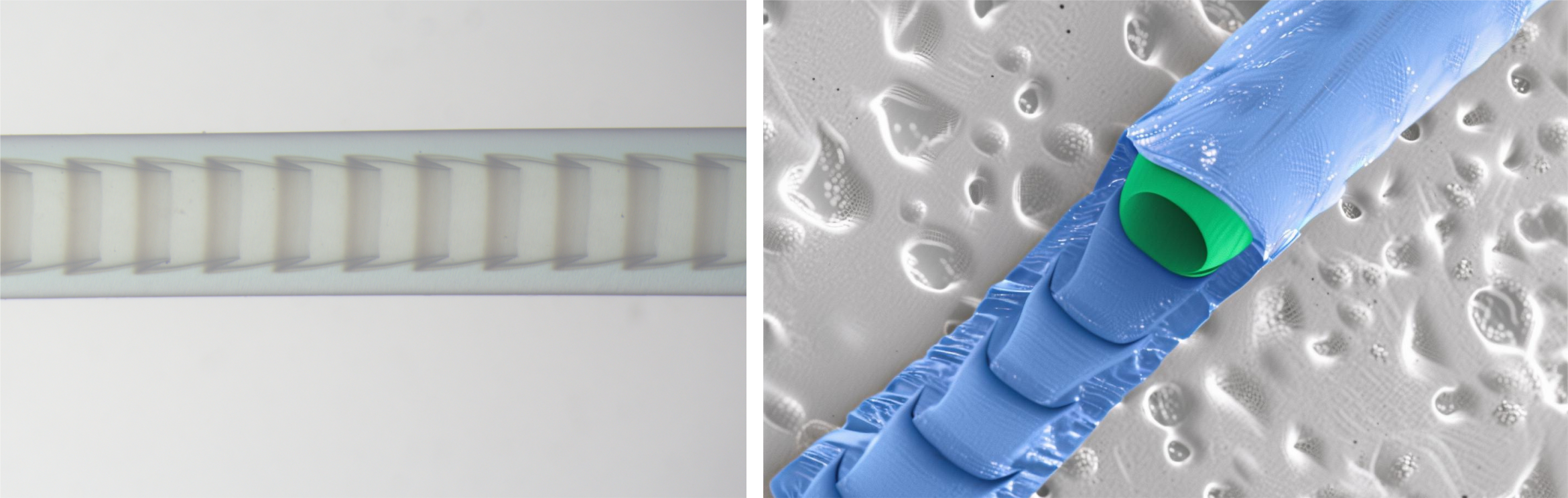 SEM images showing the microstructure of the microtube