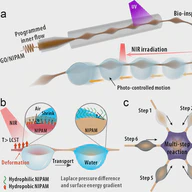 Bioinspired stimuli-responsive spindle-knotted fibers for droplet manipulation