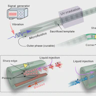 Flexible liquid-diode microtubes from multimodal microfluidics