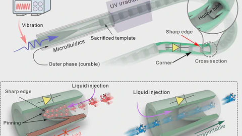 Flexible liquid-diode microtubes from multimodal microfluidics
