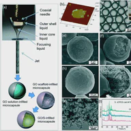A graphene oxide scaffold-encapsulated microcapsule for polysulfide-immobilized long life lithium–sulfur batteries