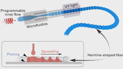 Flexible hemline-shaped microfibers for liquid transport