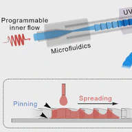Flexible hemline-shaped microfibers for liquid transport