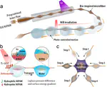 Bioinspired stimuli-responsive spindle-knotted fibers for droplet manipulation
