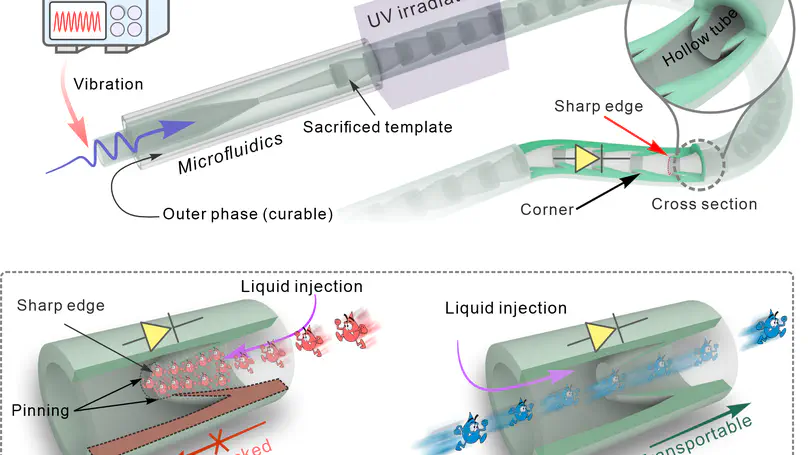 Flexible hemline-shaped microfibers for liquid transport