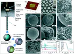 A graphene oxide scaffold-encapsulated microcapsule for polysulfide-immobilized long life lithium–sulfur batteries