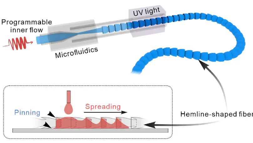 Flexible hemline-shaped microfibers for liquid transport